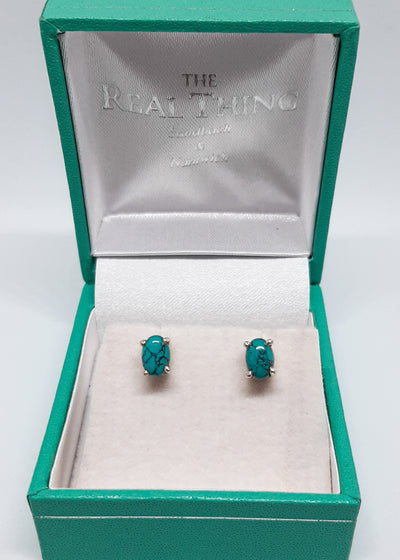 Claw Set Oval Turquoise Stud Earrings