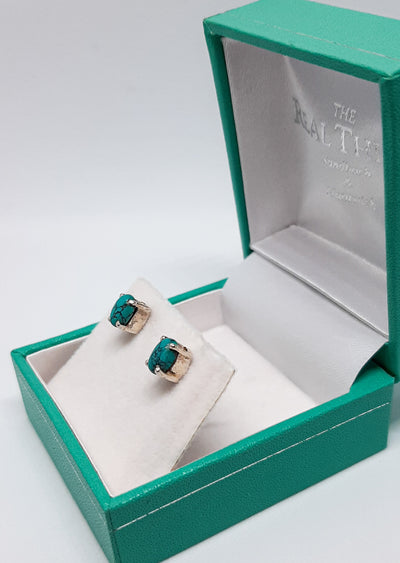 Claw Set Oval Turquoise Stud Earrings