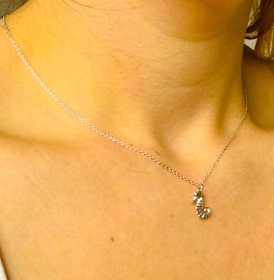 3D Seahorse Pendant